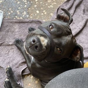 Meet your Posher, Faye